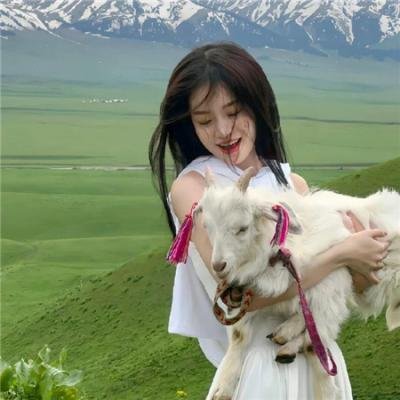 汪汪队立大功第八季